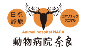 夜間診療 エキゾチックアニマル Animal hospital NARA 動物病院奈良